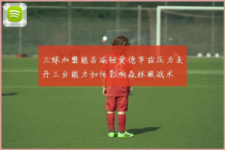 三球加盟能否减轻爱德华兹压力麦丹三分能力如何影响森林狼战术